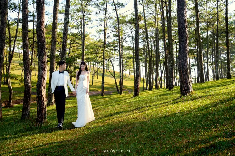 Ảnh cưới Nắng xuyên rừng thông tại Đồi thông, Đà Lạt — Đồi Thông Đà Lạt, SeesonWedding (ảnh 4/15)